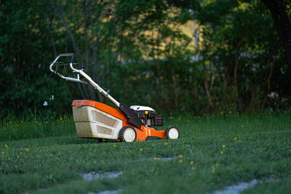 A close-up view of an orange and white petrol-powered lawn mower resting on a well-maintained lawn in a garden setting. The mower's cutting deck is visible, with the grass underneath appearing freshly